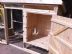 image: Chicken Coop | New Product Text To Follow